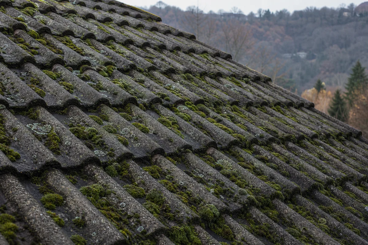 Toiture en tuiles béton envahie par la mousse avant démoussage